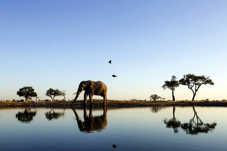 Studiosus - Botswana - mit Okavangodelta