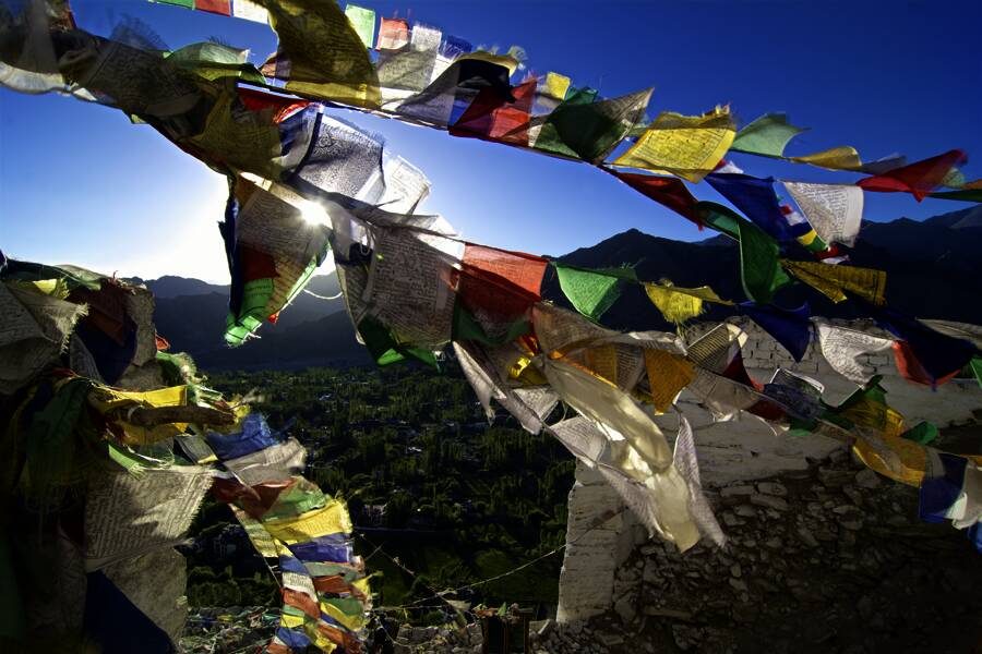 Studiosus - Ladakh - Höhepunkte im Himalaya