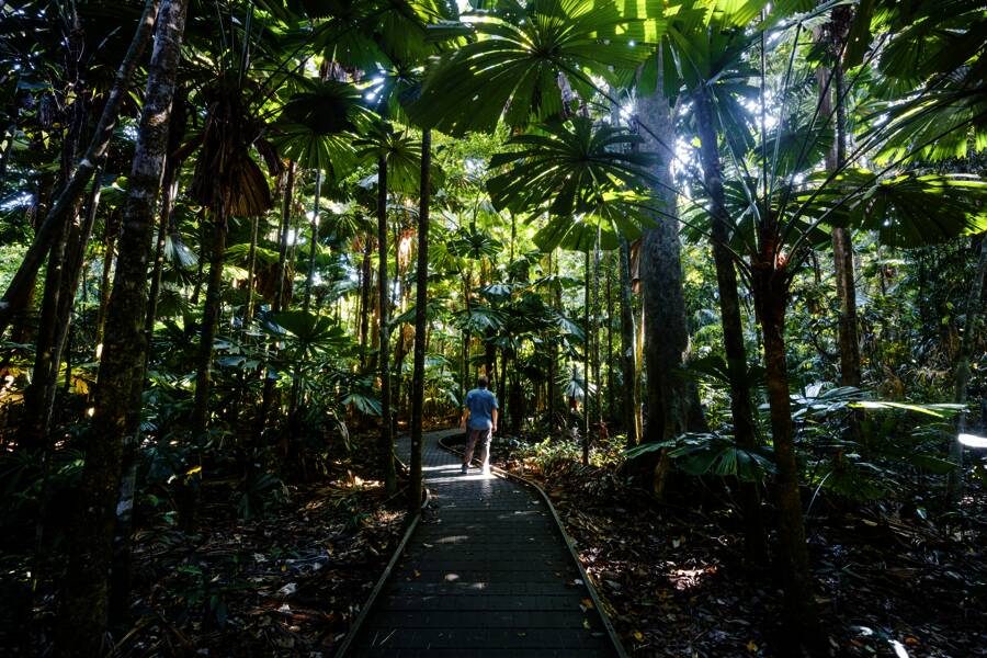 Studiosus - Australien - Naturwunder