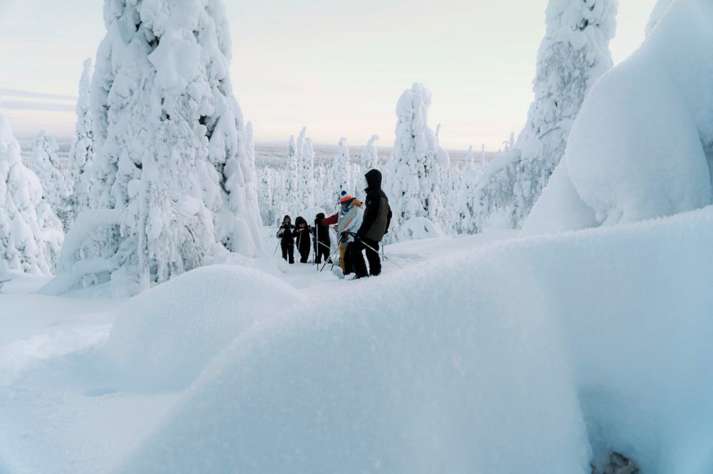 Dertour - Winter-Faszination Finnland