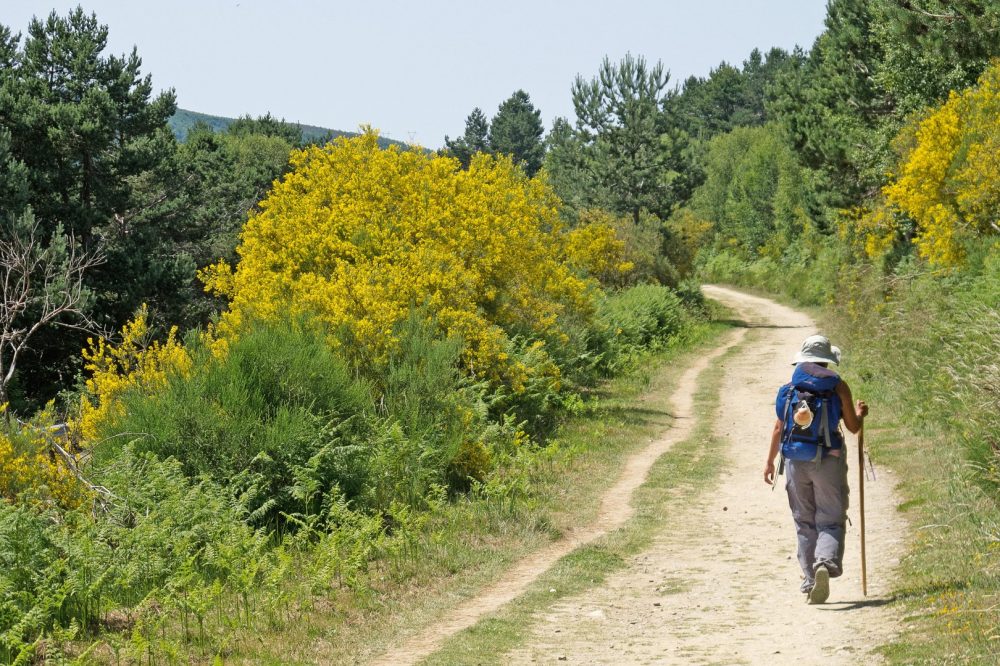 Olimar Reisen - Wandern auf dem Jakobsweg: Camino Portugu&eacute;s ab Vigo mit Gep&auml;cktransport und Transfers