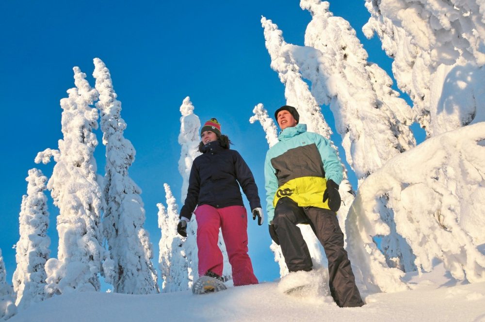 Dertour - Winterabenteuer in Vuokatti - Break Sokos Hotel Vuokatti