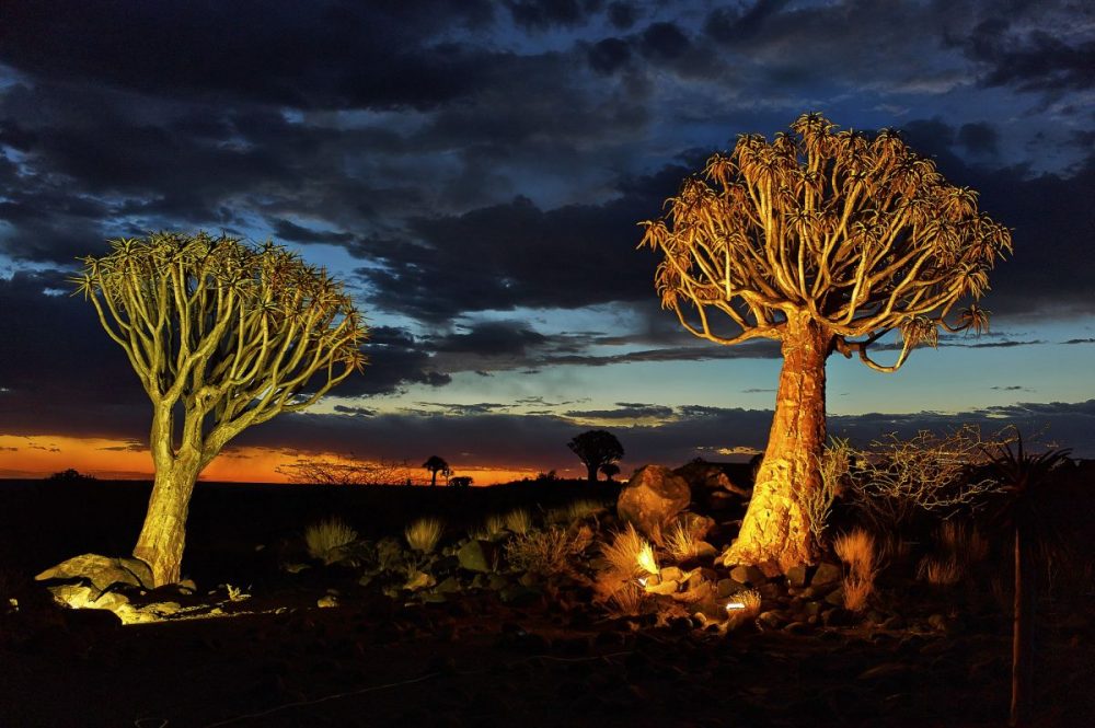 DIAMIR Erlebnisreisen - Namibia - Vom Etosha-Nationalpark zum Fish-River-Canyon