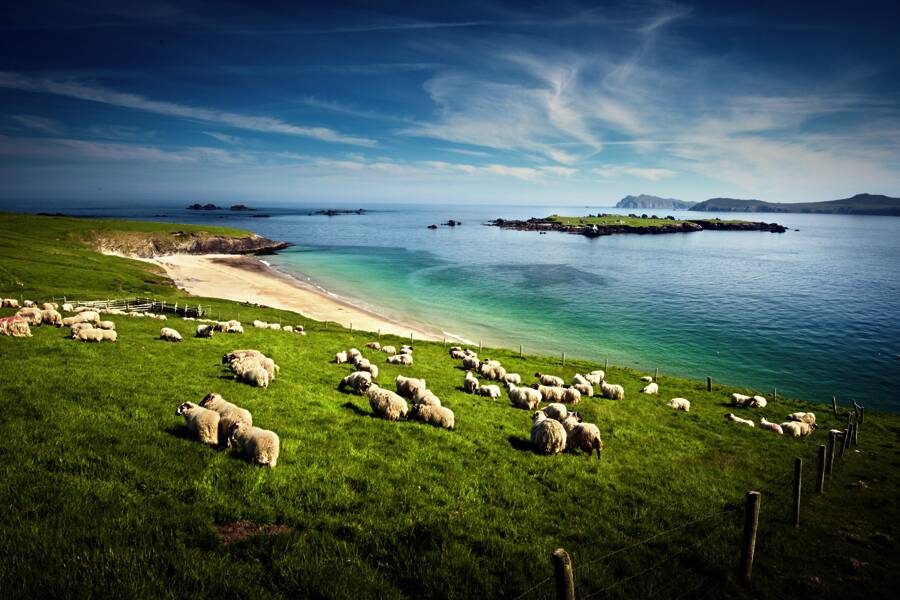 Studiosus - Irland - für Singles und Alleinreisende