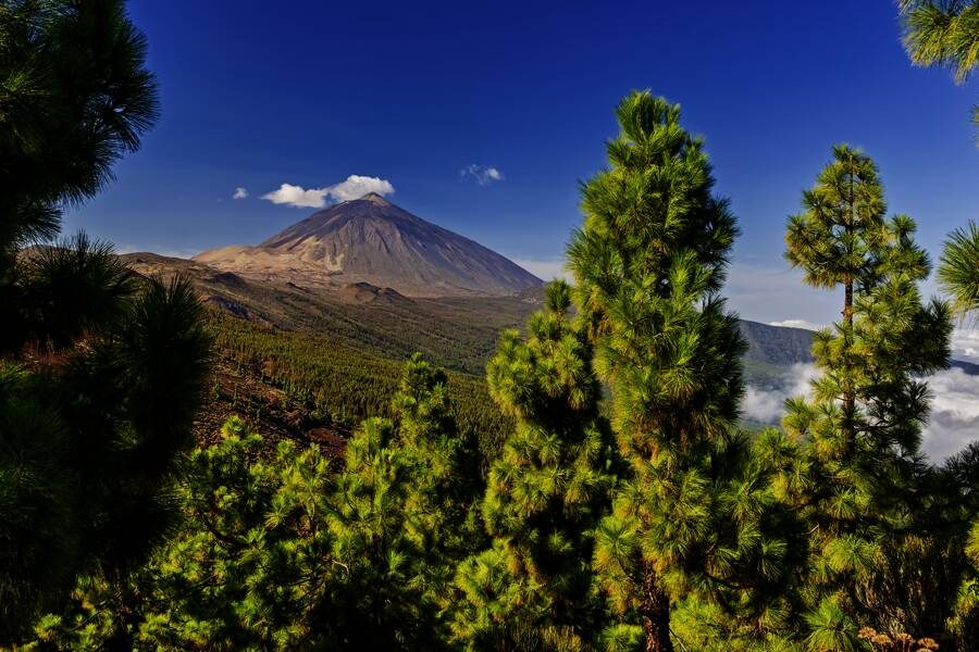 Studiosus - Teneriffa, El Hierro & La Gomera - reif für die Inseln
