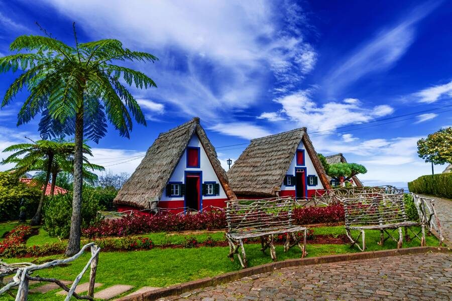 Studiosus - Madeira - die blühende Insel im Überblick