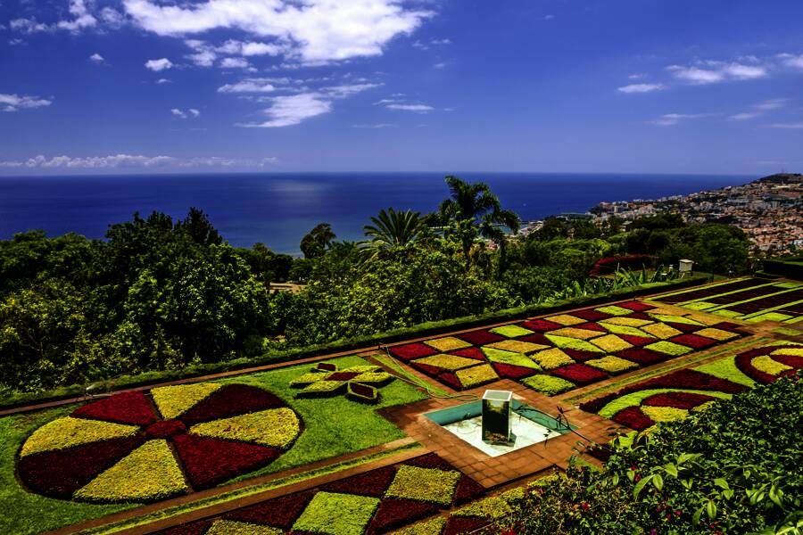 Studiosus - Madeira - mit Muße