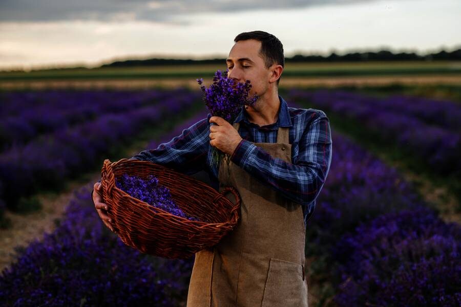 Studiosus - Provence - Savoir-vivre