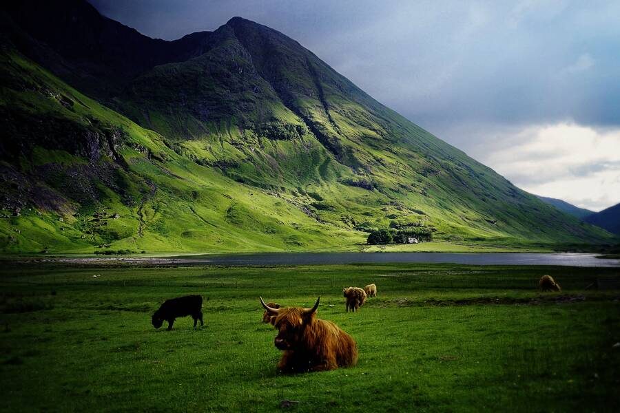 Studiosus - Schottland - Inselglück und Whiskyrauch