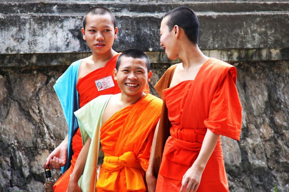 DIAMIR Erlebnisreisen - Laos - Lan Xang – Im Land der Millionen Elefanten