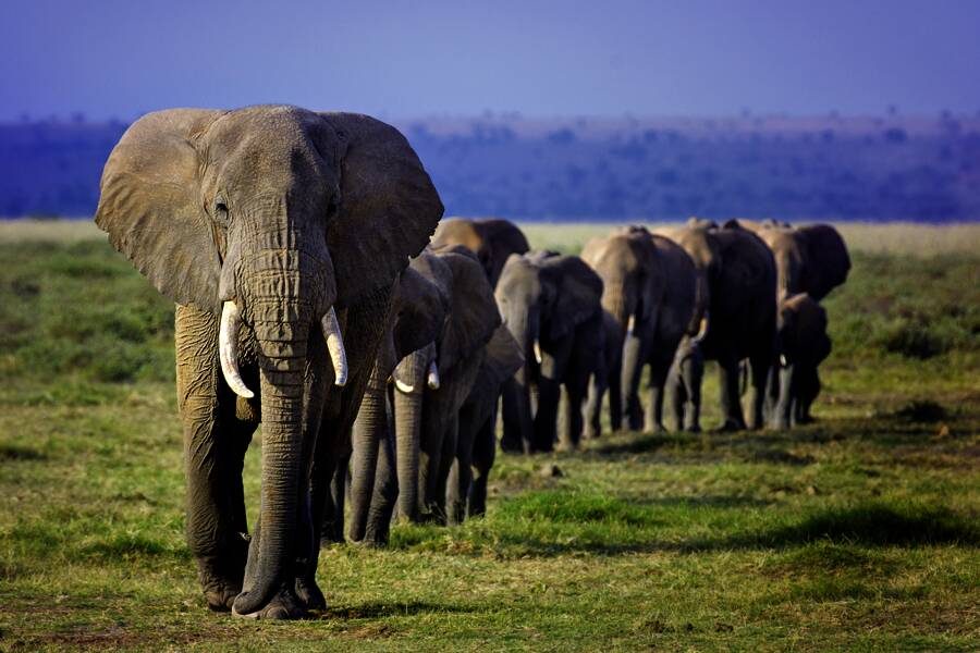 Marco Polo Reisen - Namibia - Pistenabenteuer