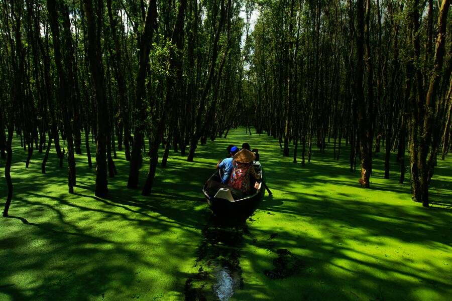 Marco Polo Reisen - Vietnam - Höhepunkte im Land von Onkel Ho