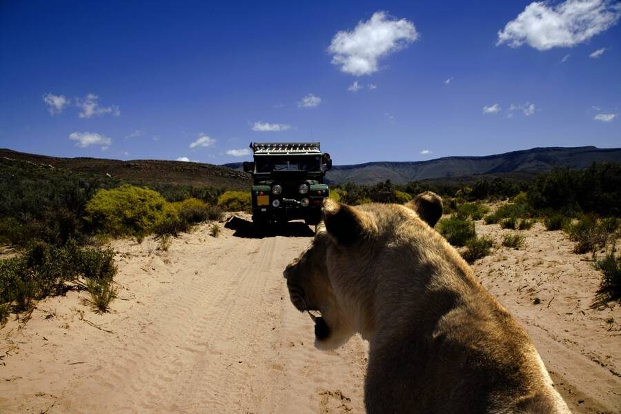 Marco Polo Reisen - Südafrika - Weingüter, Wildnis, Wale