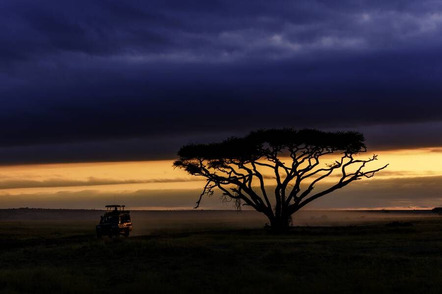 Marco Polo Reisen - Kenia – Tansania - Rendezvous mit den Big Five