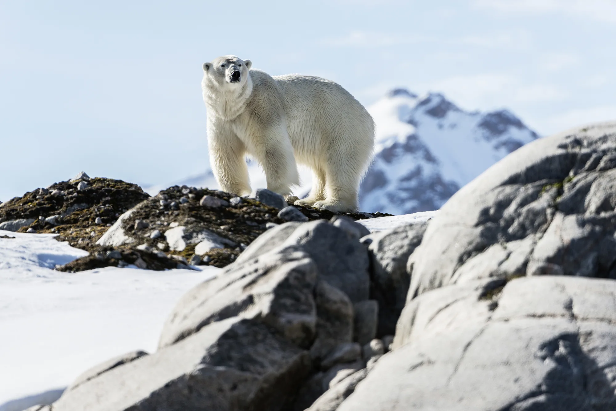 Wolters Rundreisen - Spitzbergen - ungezähmte Schönheit unter der Mitternachtssonne
