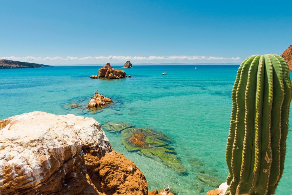 Meiers Weltreisen - Baja California zwischen Wüste und Meer