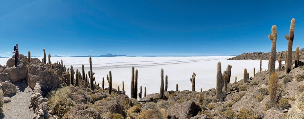 Meiers Weltreisen - Naturwunder Altiplano & das Erbe der Inka