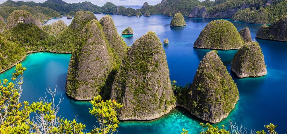 Lernidee Erlebnisreisen - Verlängerung Raja Ampat zu West-Papua Verlängerung: West-Papua: Paradiesvögel und Dschungel-Abenteuer (2025)
