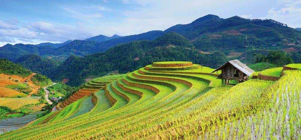 Lernidee Erlebnisreisen - Vorreise: Sapa, Vietnam Sapa – Natur und Kultur im Hochland Vietnams (2025/2026)