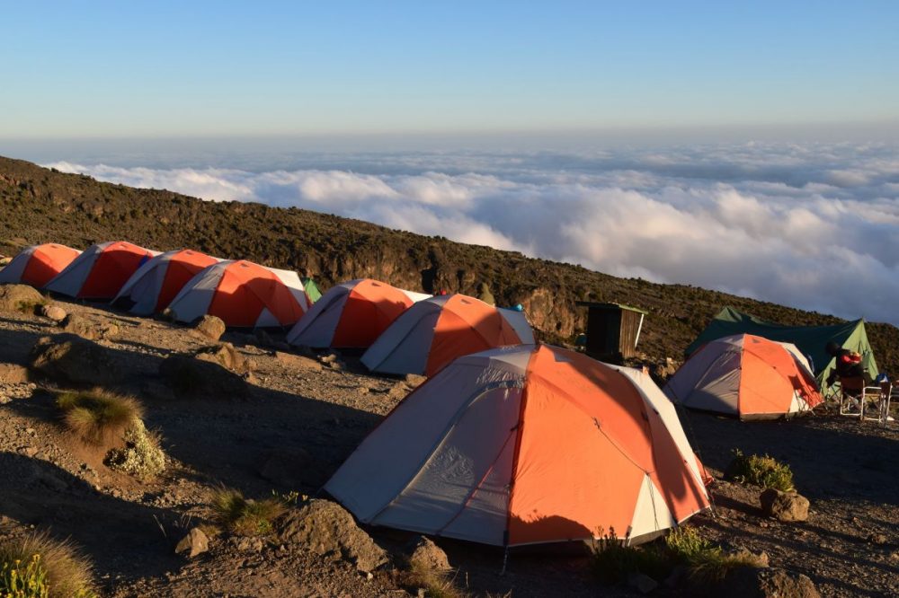 DIAMIR Erlebnisreisen - Tansania - Kilimanjaro – das Dach Afrikas via Lemosho-Route