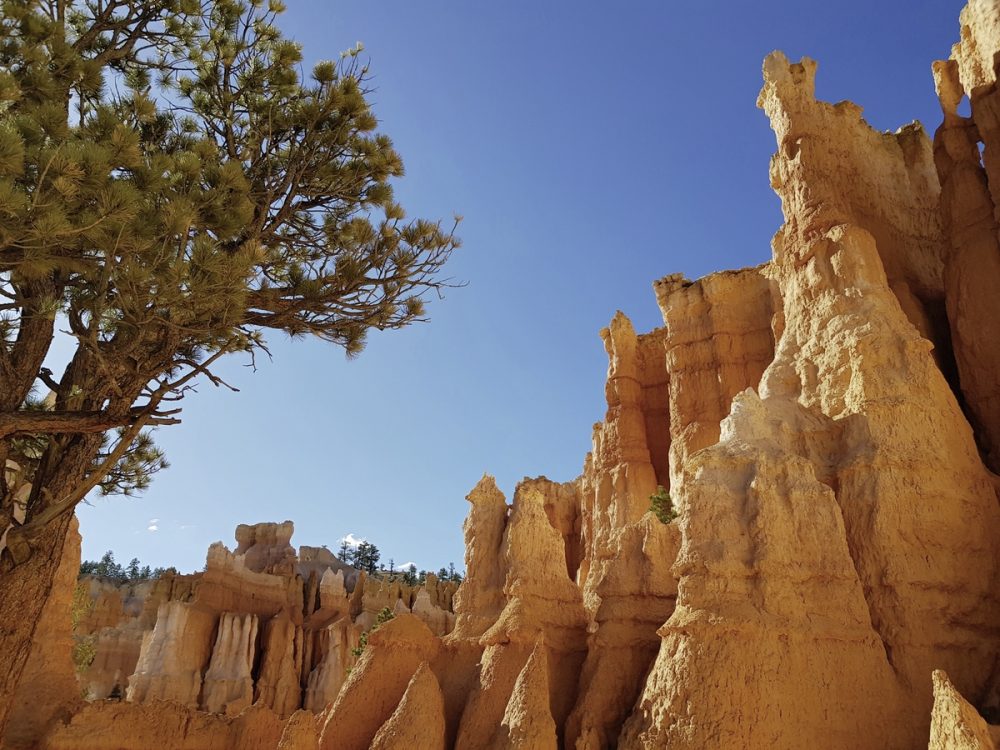 Meiers Weltreisen - Western Deserts