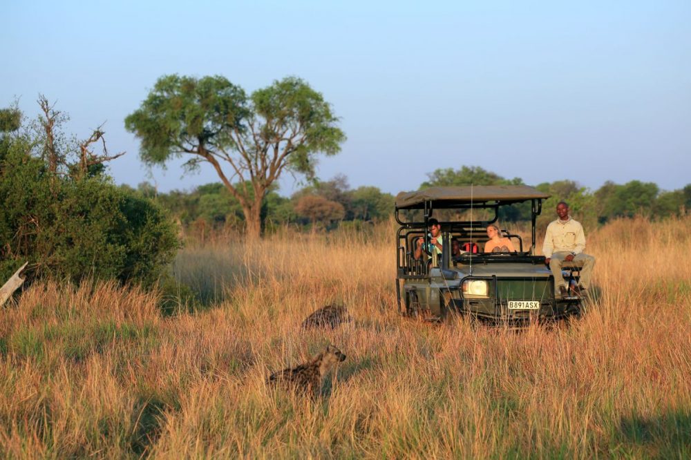 DIAMIR Erlebnisreisen - Botswana • Simbabwe - Kalahari-Löwen, Springböcke und Lechwe-Antilopen