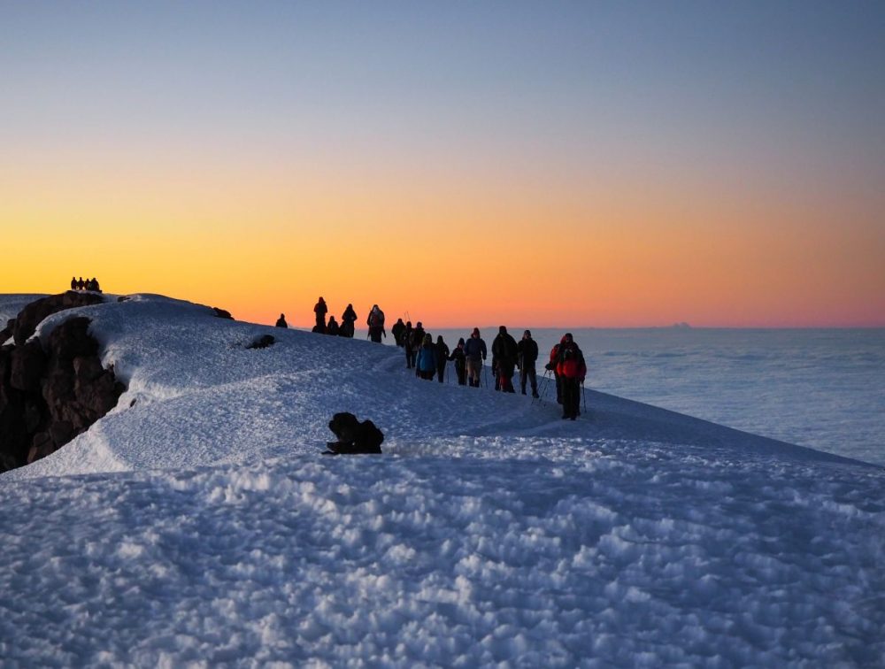 DIAMIR Erlebnisreisen - Tansania - Abenteuer Kilimanjaro über die Lemosho-Route mit Safari