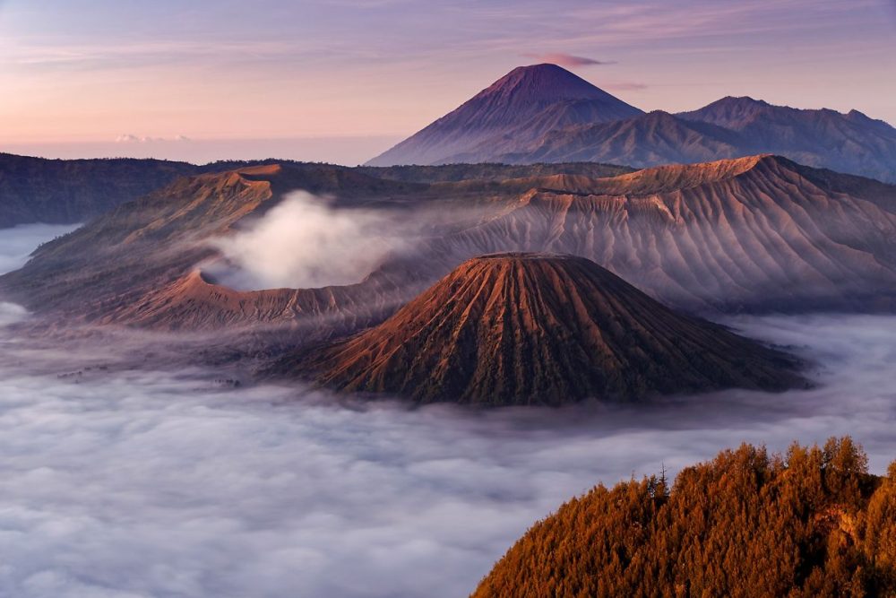DIAMIR Erlebnisreisen - Indonesien | Kalimantan • Java • Bali • Komodo - Asien in RAW: Waldmenschen, Feuerberge und Drachen