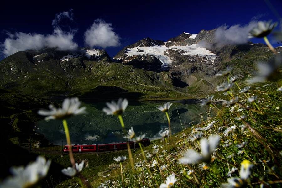 Studiosus - Schweiz - Beste Aussichten: Schweizer Panoramazüge