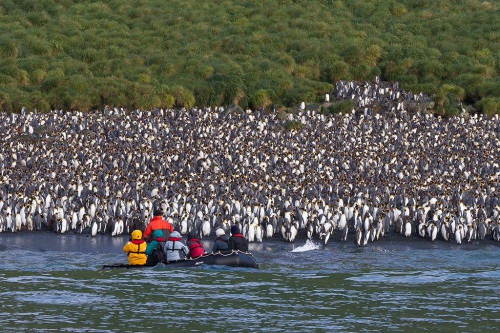 DIAMIR Erlebnisreisen - Neuseeland • Subantarktische Inseln • Antarktis - Abenteuer Rossmeer intensiv