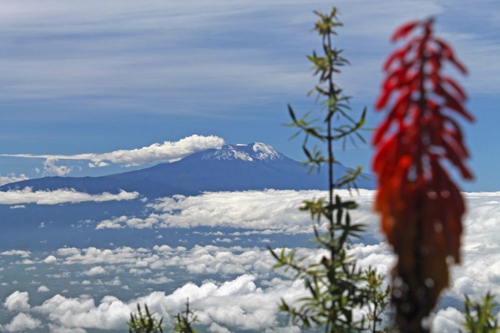 DIAMIR Erlebnisreisen - Tansania - Kilimanjaro und Safari