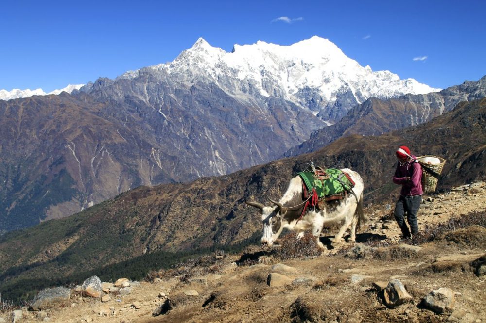 DIAMIR Erlebnisreisen - Nepal - Helambu-Gosainkund: Mythische Seen und stille Berge