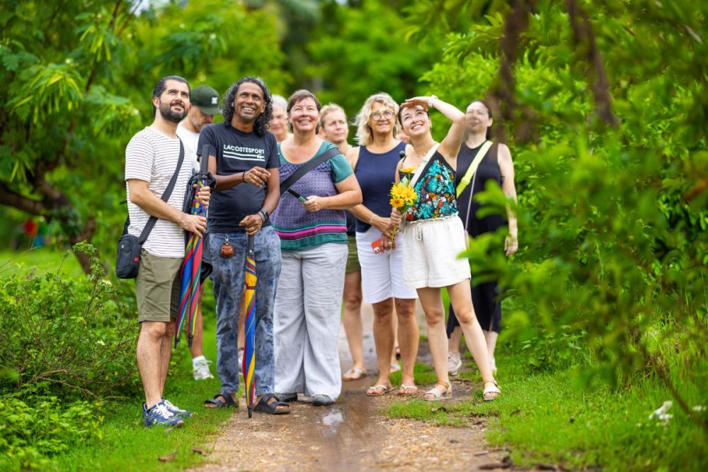 DIAMIR Erlebnisreisen - Sri Lanka - Wanderlust Ceylon