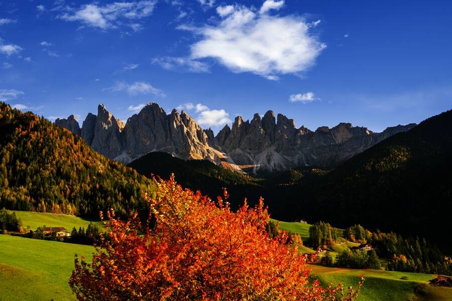 Studiosus - Italien - Südtirol im Goldenen Herbst