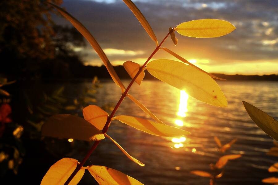 Studiosus - Finnland - Leuchtendes Lappland