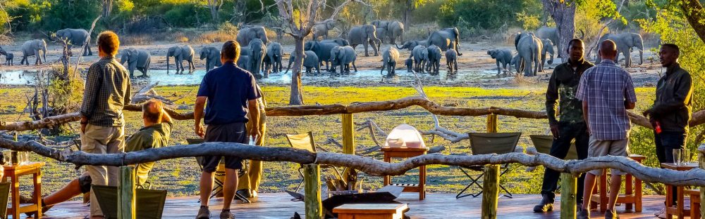 Chamäleon - Namibia Okavango 15 Tage Erlebnis-Reise