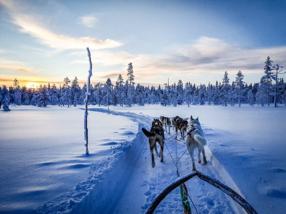 DIAMIR Erlebnisreisen - Schweden | Lappland - Polare Abenteuer in Lapplands Winterwelt