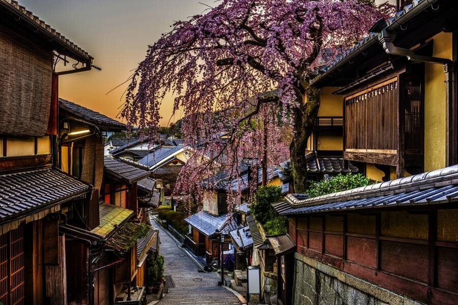 Studiosus - Japan - mit Muße