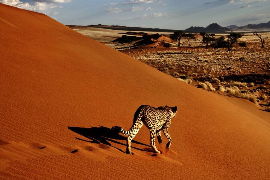 Studiosus - Namibia - mit Viktoriafällen und Caprivi