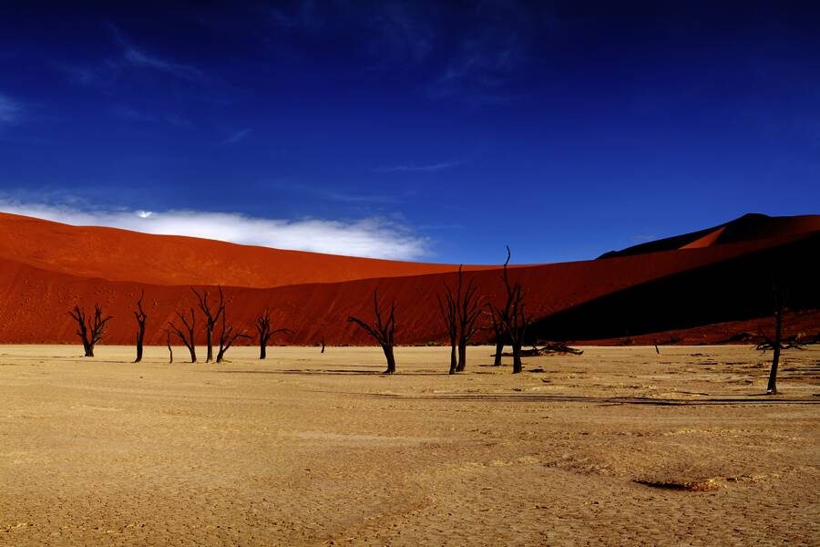 Marco Polo Reisen - Namibia - Highlights