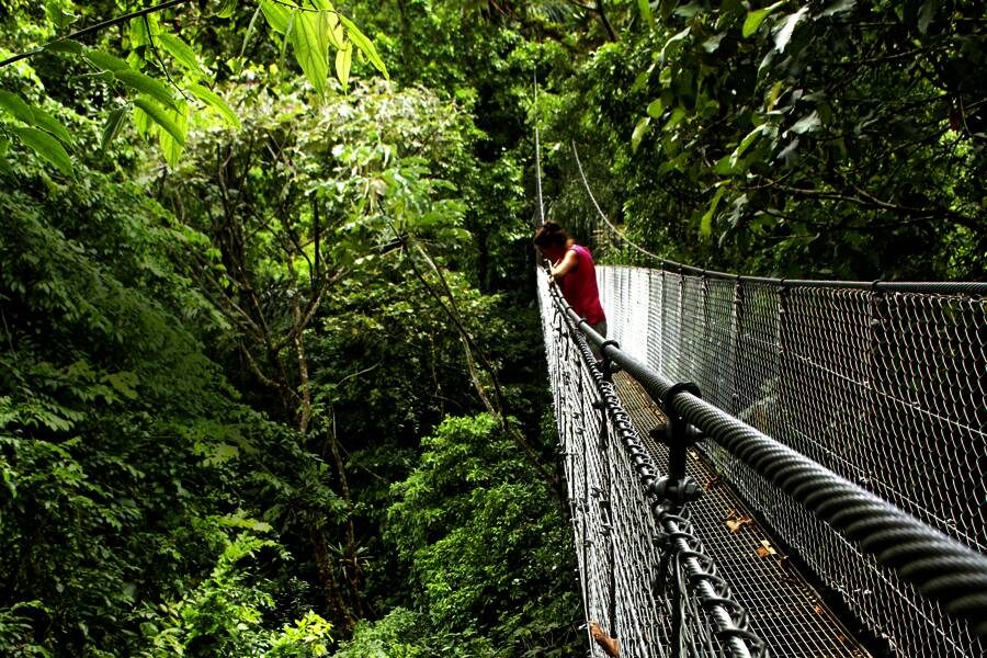 Studiosus - Costa Rica - pura vida zwischen den Ozeanen