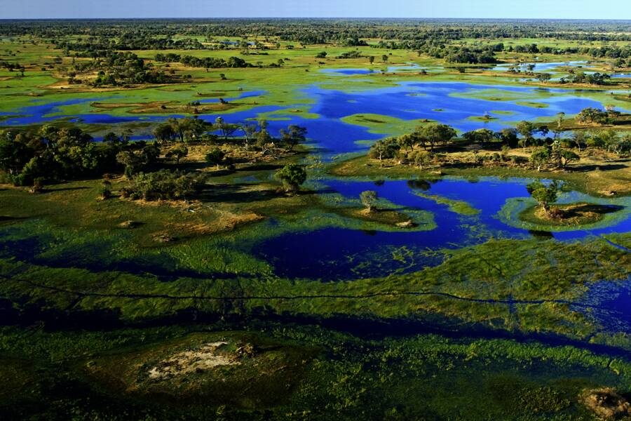 Studiosus - Botswana - mit Okavangodelta