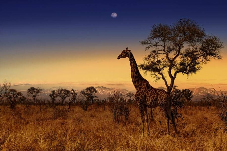 Studiosus - Südafrika - Impressionen