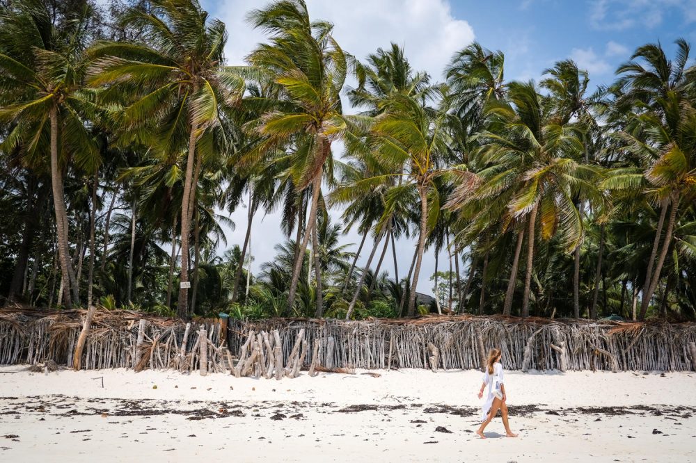 Berge & Meer - Afrikas Vielfalt erleben: Safari & Strand in Kenia