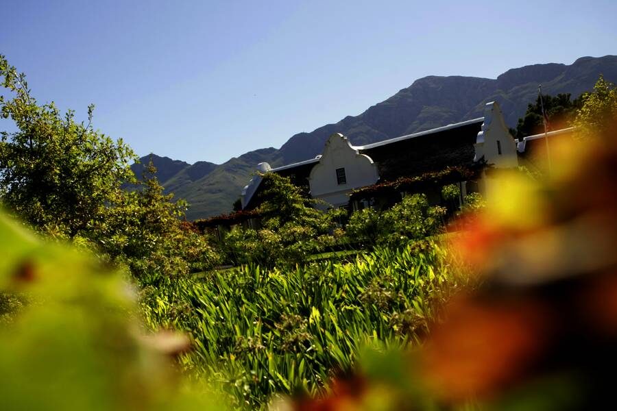 Studiosus - Südafrika - magische Momente am Kap