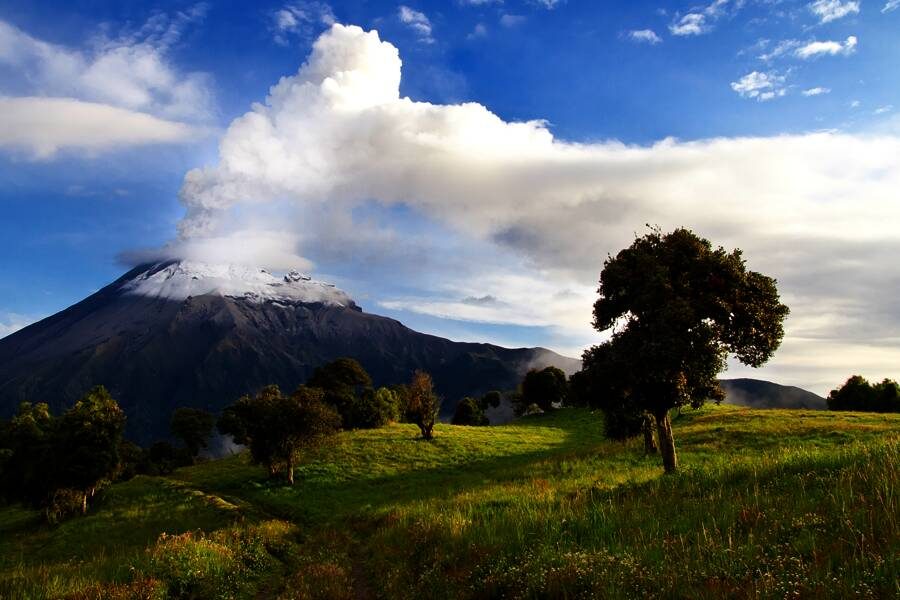 Marco Polo Reisen - Ecuador - Auf der Avenida de los Volcanes