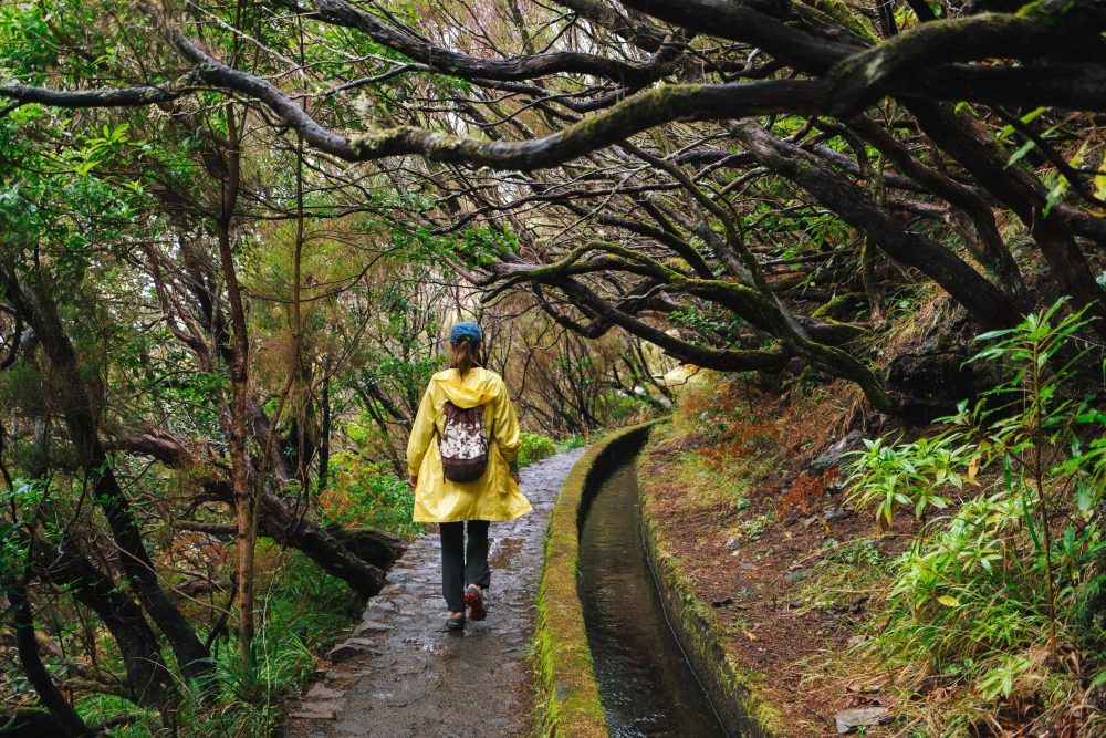 Berge & Meer - Madeira - Wandern zwischen Meer und Berg