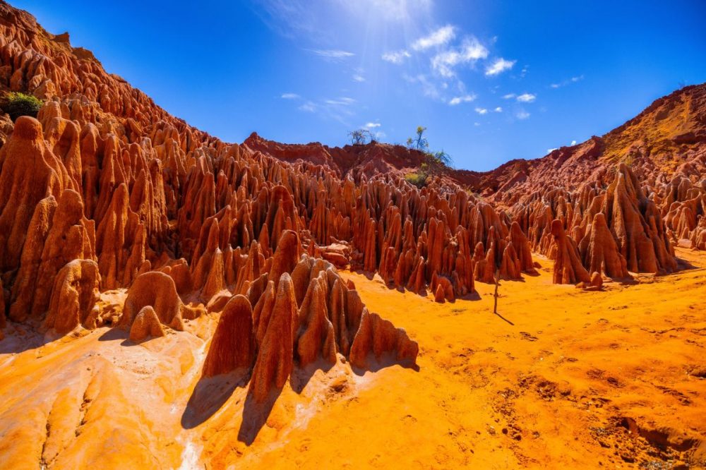 DIAMIR Erlebnisreisen - Madagaskar - Höhepunkte Madagaskars