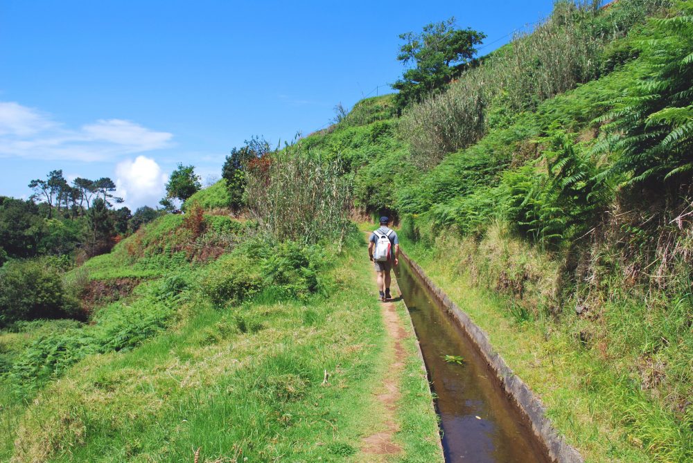 Berge & Meer - Madeira intensiv erleben: Wanderreise ohne Hotelwechsel