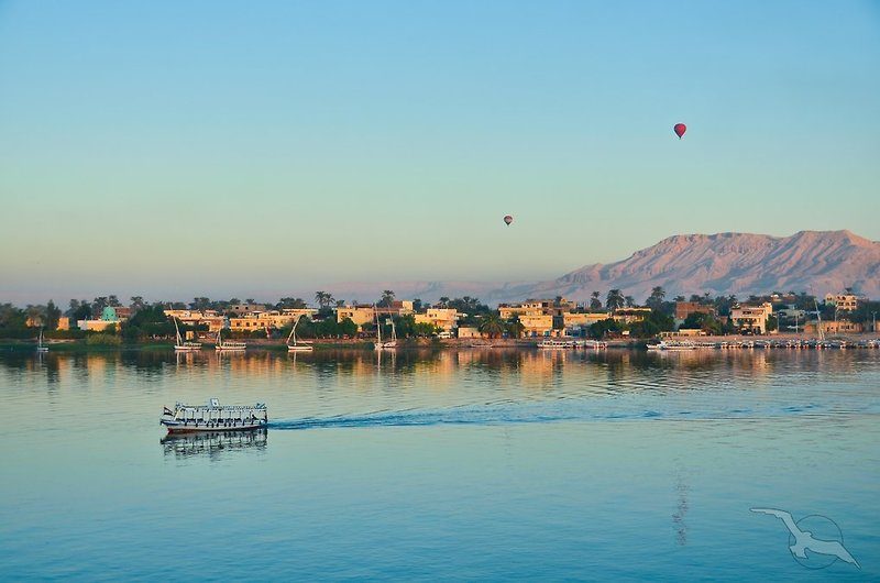 Phoenix Reisen - Nilkreuzfahrt Memnon First-Class & Baden im Albatros Makadi Resortt